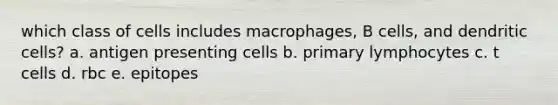 which class of cells includes macrophages, B cells, and dendritic cells? a. antigen presenting cells b. primary lymphocytes c. t cells d. rbc e. epitopes