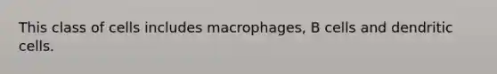 This class of cells includes macrophages, B cells and dendritic cells.