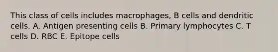 This class of cells includes macrophages, B cells and dendritic cells. A. Antigen presenting cells B. Primary lymphocytes C. T cells D. RBC E. Epitope cells