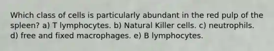 Which class of cells is particularly abundant in the red pulp of the spleen? a) T lymphocytes. b) Natural Killer cells. c) neutrophils. d) free and fixed macrophages. e) B lymphocytes.