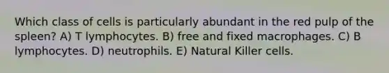 Which class of cells is particularly abundant in the red pulp of the spleen? A) T lymphocytes. B) free and fixed macrophages. C) B lymphocytes. D) neutrophils. E) Natural Killer cells.