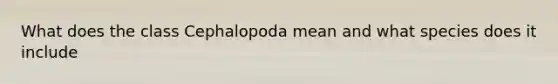 What does the class Cephalopoda mean and what species does it include