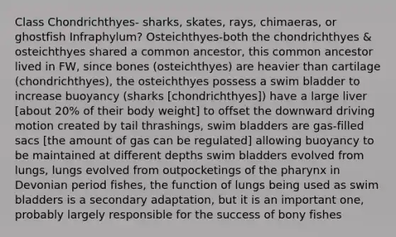 Class Chondrichthyes- sharks, skates, rays, chimaeras, or ghostfish Infraphylum? Osteichthyes-both the chondrichthyes & osteichthyes shared a common ancestor, this common ancestor lived in FW, since bones (osteichthyes) are heavier than cartilage (chondrichthyes), the osteichthyes possess a swim bladder to increase buoyancy (sharks [chondrichthyes]) have a large liver [about 20% of their body weight] to offset the downward driving motion created by tail thrashings, swim bladders are gas-filled sacs [the amount of gas can be regulated] allowing buoyancy to be maintained at different depths swim bladders evolved from lungs, lungs evolved from outpocketings of the pharynx in Devonian period fishes, the function of lungs being used as swim bladders is a secondary adaptation, but it is an important one, probably largely responsible for the success of bony fishes