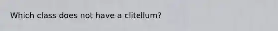 Which class does not have a clitellum?