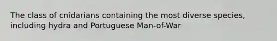 The class of cnidarians containing the most diverse species, including hydra and Portuguese Man-of-War