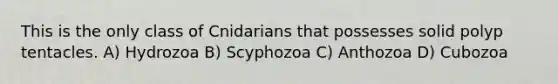 This is the only class of Cnidarians that possesses solid polyp tentacles. A) Hydrozoa B) Scyphozoa C) Anthozoa D) Cubozoa