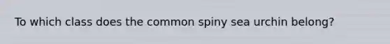 To which class does the common spiny sea urchin belong?