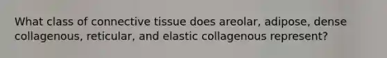 What class of connective tissue does areolar, adipose, dense collagenous, reticular, and elastic collagenous represent?