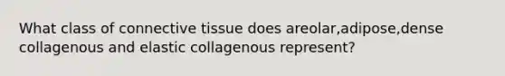 What class of connective tissue does areolar,adipose,dense collagenous and elastic collagenous represent?