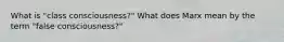 What is "class consciousness?" What does Marx mean by the term "false consciousness?"