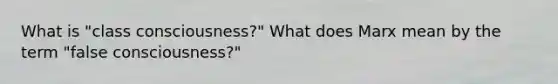 What is "class consciousness?" What does Marx mean by the term "false consciousness?"
