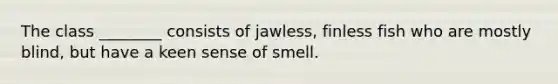 The class ________ consists of jawless, finless fish who are mostly blind, but have a keen sense of smell.