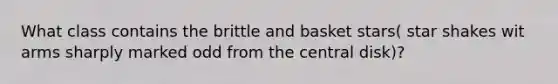 What class contains the brittle and basket stars( star shakes wit arms sharply marked odd from the central disk)?