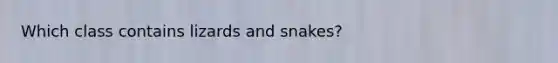 Which class contains lizards and snakes?