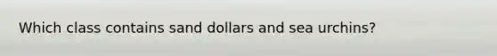 Which class contains sand dollars and sea urchins?