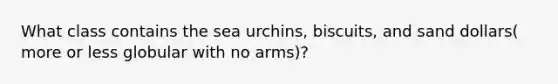 What class contains the sea urchins, biscuits, and sand dollars( more or less globular with no arms)?