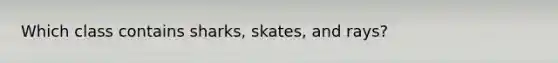 Which class contains sharks, skates, and rays?