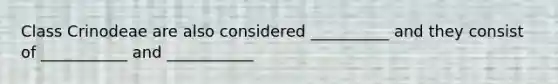 Class Crinodeae are also considered __________ and they consist of ___________ and ___________