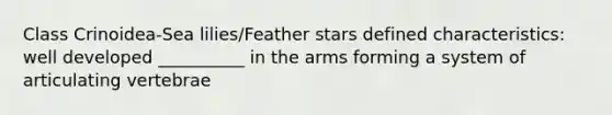 Class Crinoidea-Sea lilies/Feather stars defined characteristics: well developed __________ in the arms forming a system of articulating vertebrae