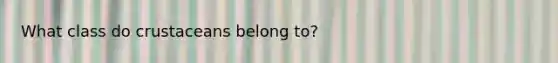 What class do crustaceans belong to?