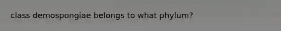 class demospongiae belongs to what phylum?