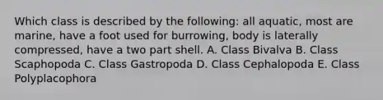 Which class is described by the following: all aquatic, most are marine, have a foot used for burrowing, body is laterally compressed, have a two part shell. A. Class Bivalva B. Class Scaphopoda C. Class Gastropoda D. Class Cephalopoda E. Class Polyplacophora