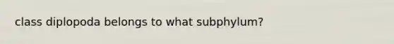 class diplopoda belongs to what subphylum?