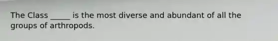 The Class _____ is the most diverse and abundant of all the groups of arthropods.