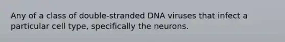 Any of a class of double-stranded DNA viruses that infect a particular cell type, specifically the neurons.