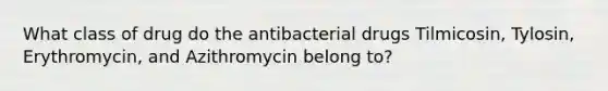 What class of drug do the antibacterial drugs Tilmicosin, Tylosin, Erythromycin, and Azithromycin belong to?