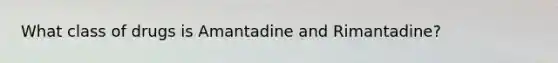 What class of drugs is Amantadine and Rimantadine?