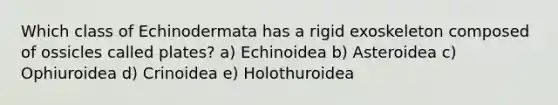 Which class of Echinodermata has a rigid exoskeleton composed of ossicles called plates? a) Echinoidea b) Asteroidea c) Ophiuroidea d) Crinoidea e) Holothuroidea