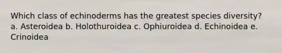 Which class of echinoderms has the greatest species diversity? a. Asteroidea b. Holothuroidea c. Ophiuroidea d. Echinoidea e. Crinoidea