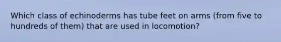 Which class of echinoderms has tube feet on arms (from five to hundreds of them) that are used in locomotion?