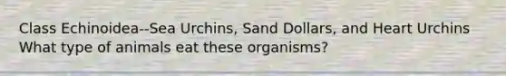 Class Echinoidea--Sea Urchins, Sand Dollars, and Heart Urchins What type of animals eat these organisms?