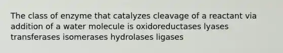 The class of enzyme that catalyzes cleavage of a reactant via addition of a water molecule is oxidoreductases lyases transferases isomerases hydrolases ligases