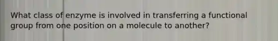 What class of enzyme is involved in transferring a functional group from one position on a molecule to another?