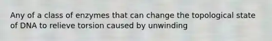 Any of a class of enzymes that can change the topological state of DNA to relieve torsion caused by unwinding