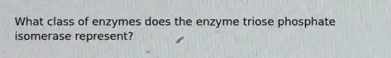 What class of enzymes does the enzyme triose phosphate isomerase represent?