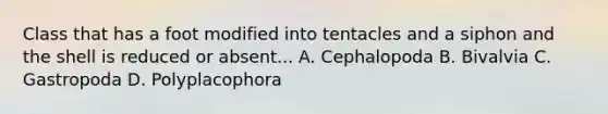 Class that has a foot modified into tentacles and a siphon and the shell is reduced or absent... A. Cephalopoda B. Bivalvia C. Gastropoda D. Polyplacophora