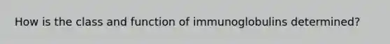 How is the class and function of immunoglobulins determined?