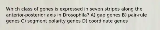 Which class of genes is expressed in seven stripes along the anterior-posterior axis in Drosophila? A) gap genes B) pair-rule genes C) segment polarity genes D) coordinate genes