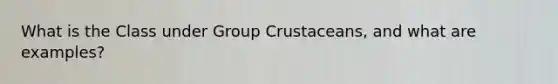 What is the Class under Group Crustaceans, and what are examples?