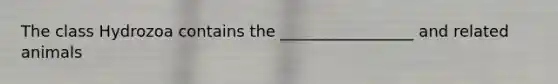 The class Hydrozoa contains the _________________ and related animals