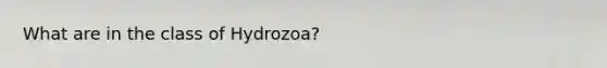 What are in the class of Hydrozoa?