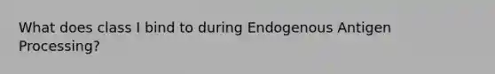 What does class I bind to during Endogenous Antigen Processing?