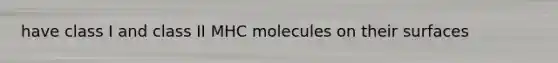 have class I and class II MHC molecules on their surfaces