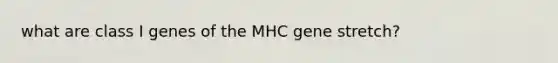 what are class I genes of the MHC gene stretch?