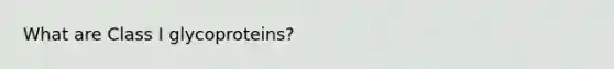 What are Class I glycoproteins?