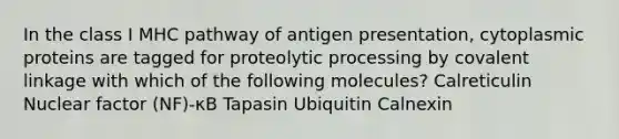 In the class I MHC pathway of antigen presentation, cytoplasmic proteins are tagged for proteolytic processing by covalent linkage with which of the following molecules? Calreticulin Nuclear factor (NF)-κB Tapasin Ubiquitin Calnexin